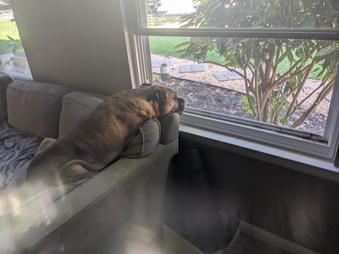 Atlas after Cushing's diagnosis